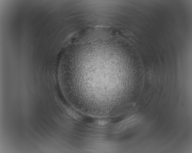 X0000056320662200509021604