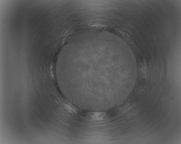 X0000056320663200509021604