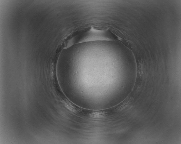 X0000056320664200509021604