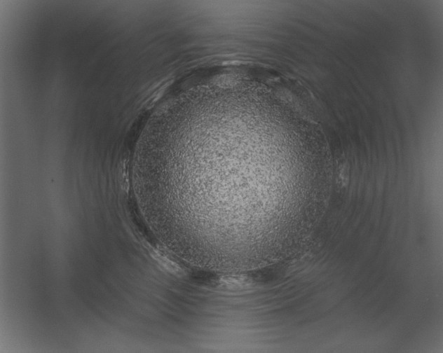 X0000056320666200509021604
