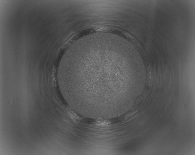 X0000056320667200509021604