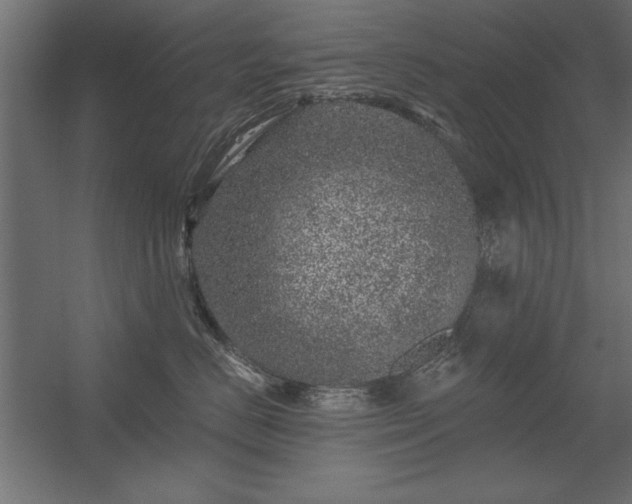 X0000056320670200509021605