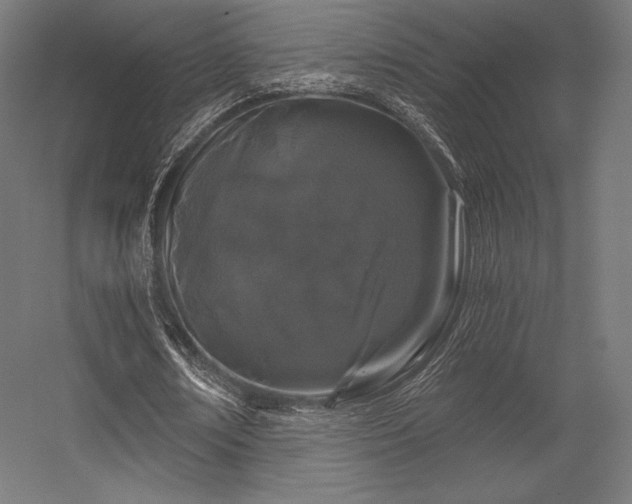 X0000056320674200509021604