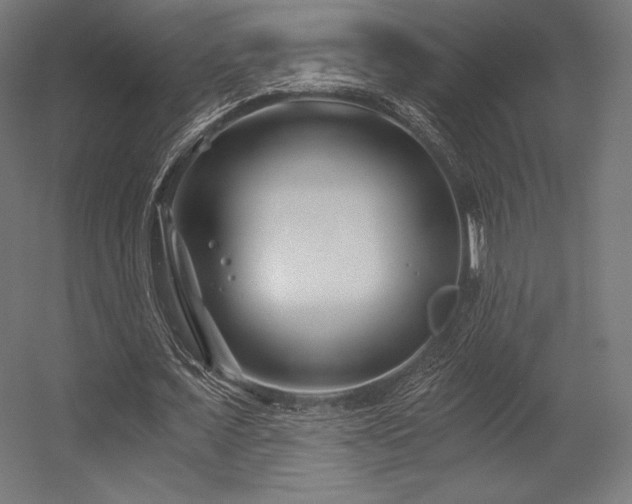 X0000056320675200509021604