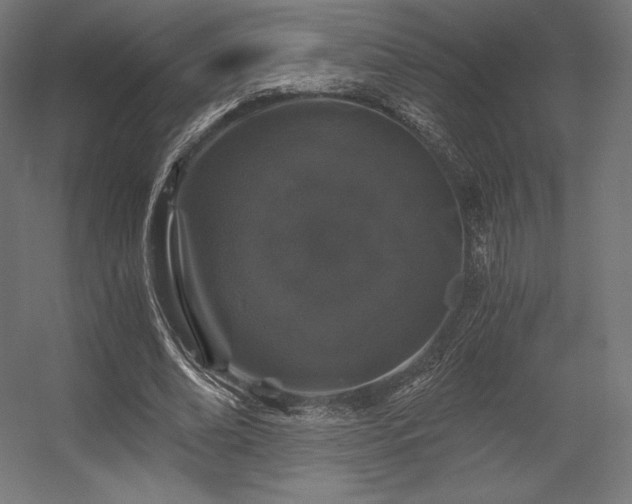 X0000056320678200509021604