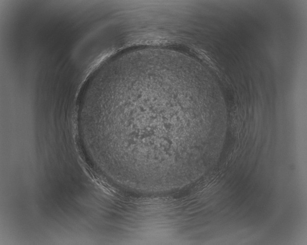 X0000056320679200509021604