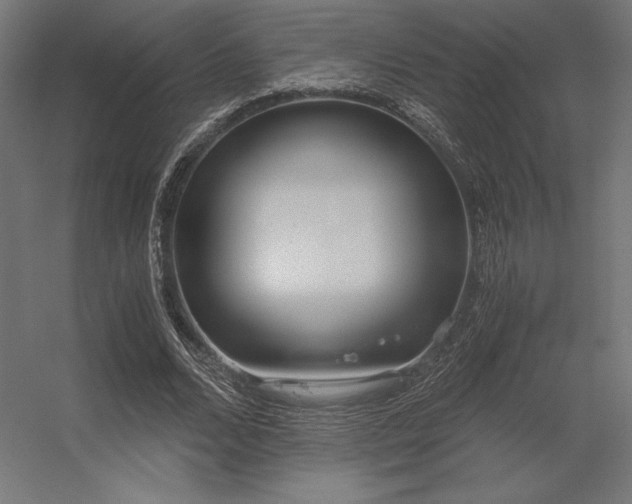 X0000056320680200509021604