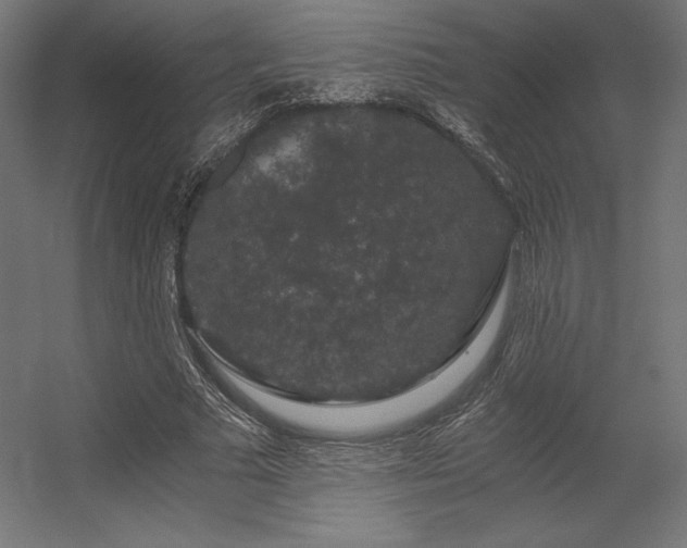 X0000056320681200509021604