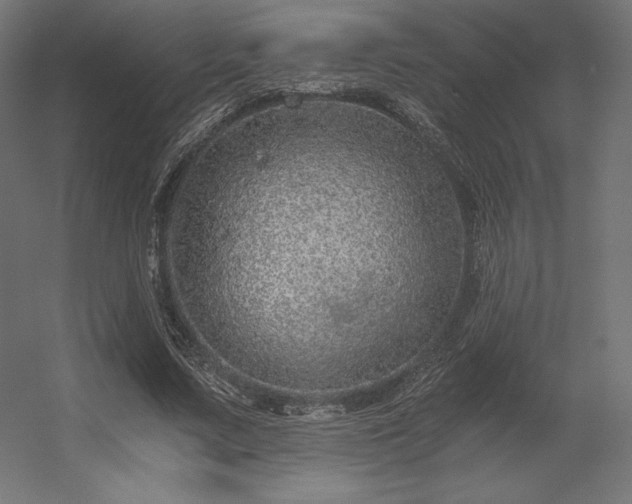 X0000056320683200509021604