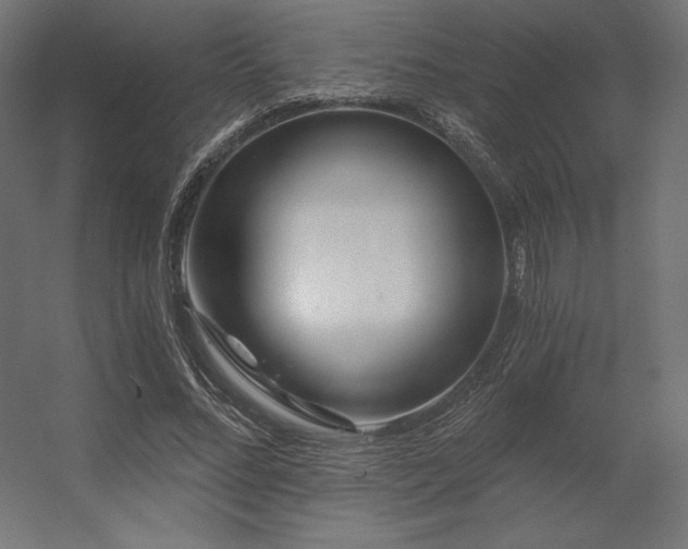 X0000056320684200509021604