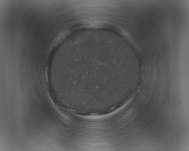 X0000056320685200509021604