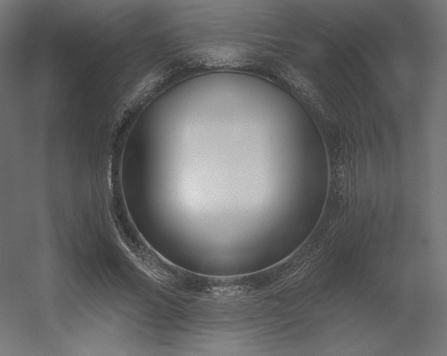 X0000056320686200509021603