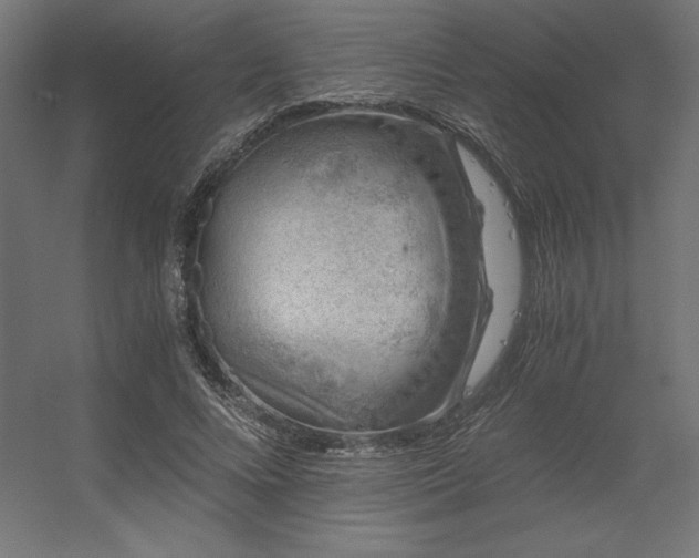 X0000056320688200509021603