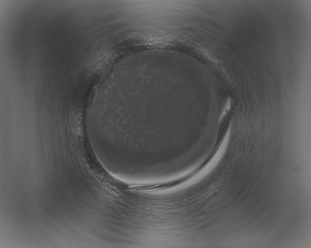 X0000056320689200509021603
