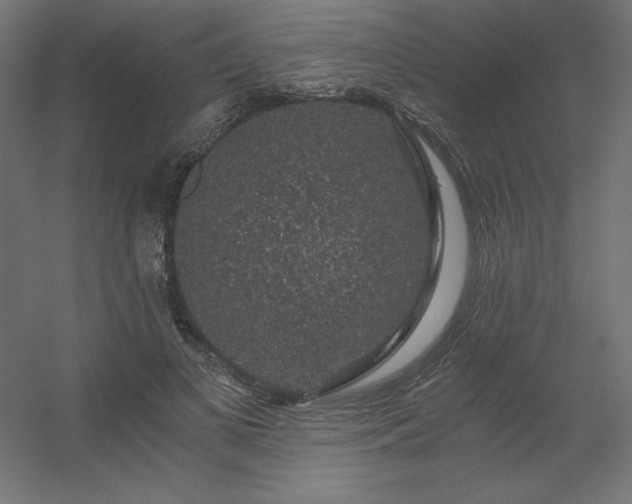 X0000056320693200509021603
