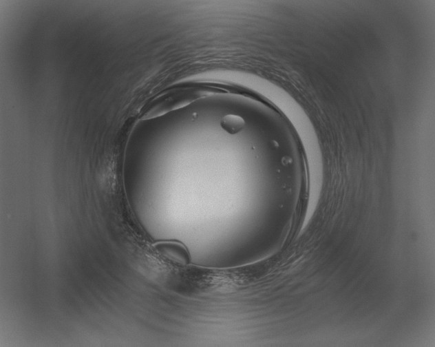 X0000056320697200509021603