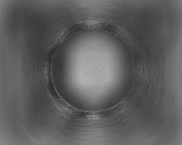 X0000056320698200509021603