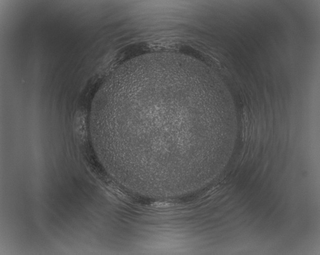 X0000056320699200509021603
