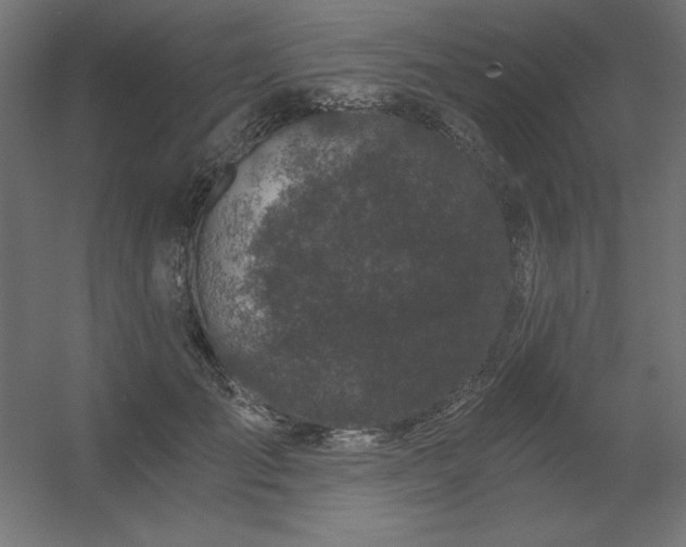 X0000056320701200509021603
