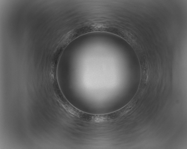 X0000056320710200509021603