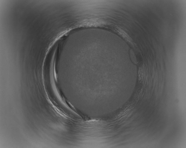X0000056320722200509021602