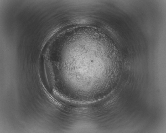 X0000056320725200509021602