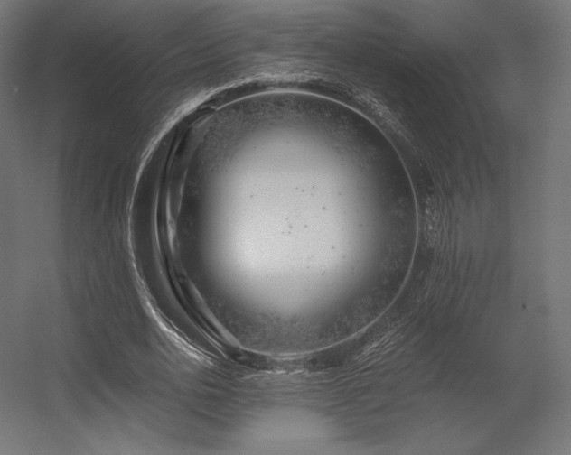 X0000056320726200509021602