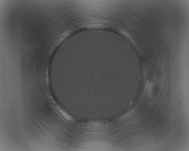X0000056320729200509021602