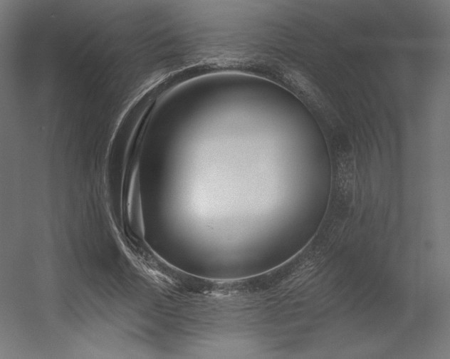 X0000056320730200509021602
