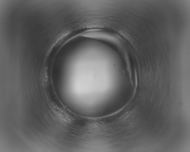 X0000056320731200509021602