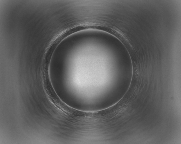 X0000056320732200509021602