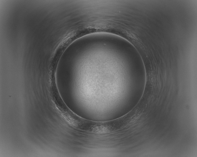 X0000056320735200509021602