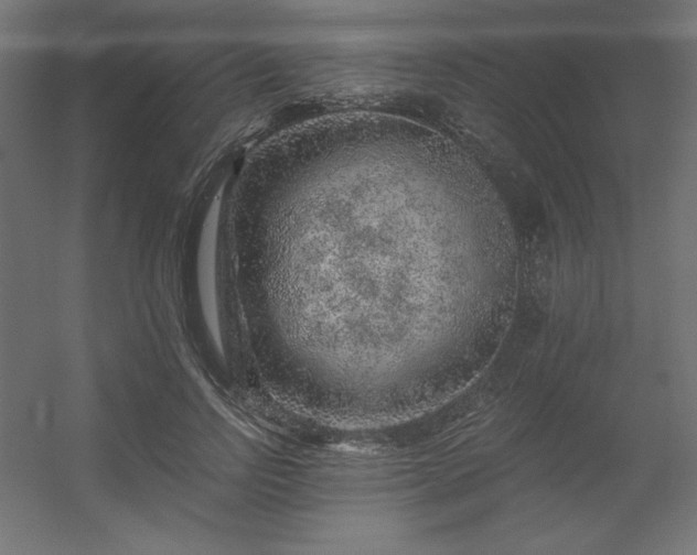 X0000056320742200509021602