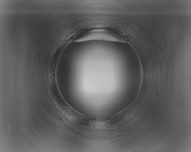 X0000056320743200509021602