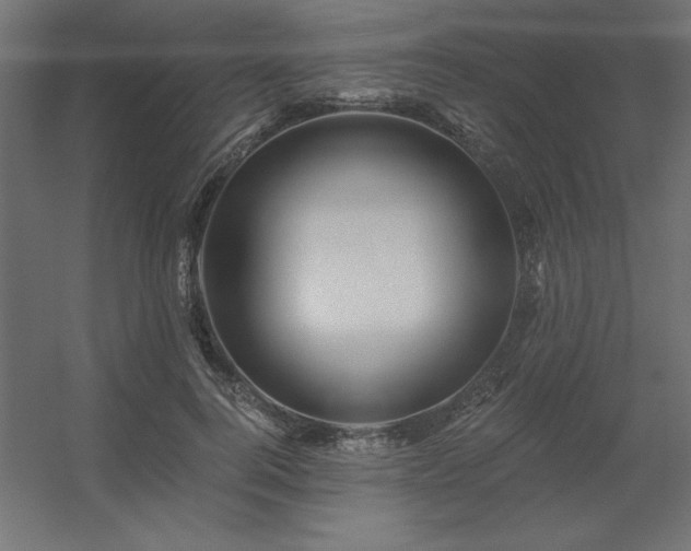 X0000056320744200509021602
