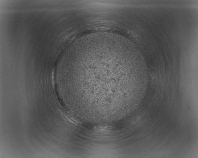 X0000056320745200509021603