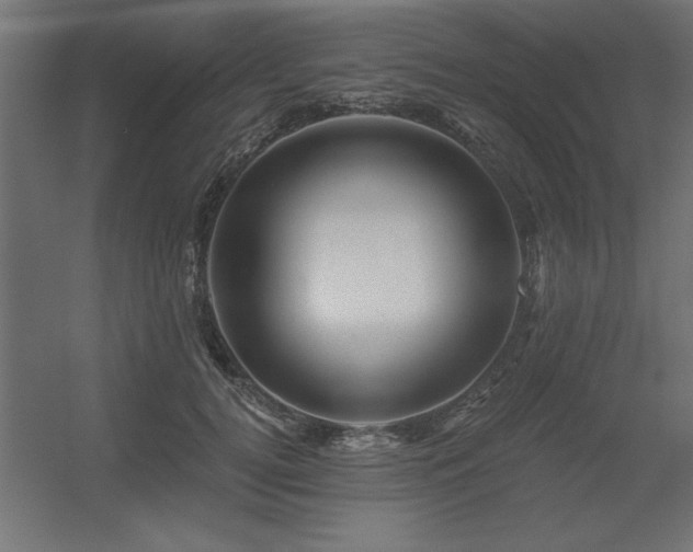X0000056320752200509021603