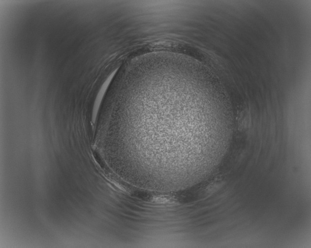 X0000056320753200509021603