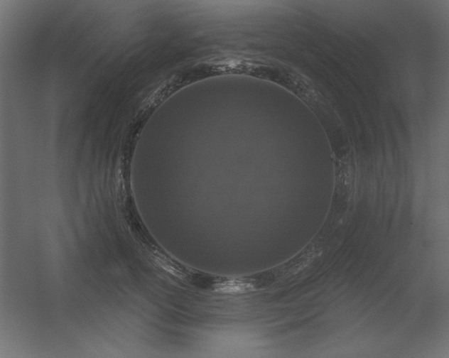 X0000056320754200509021603
