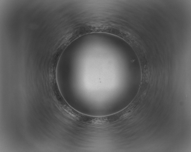 X0000056320756200509021603