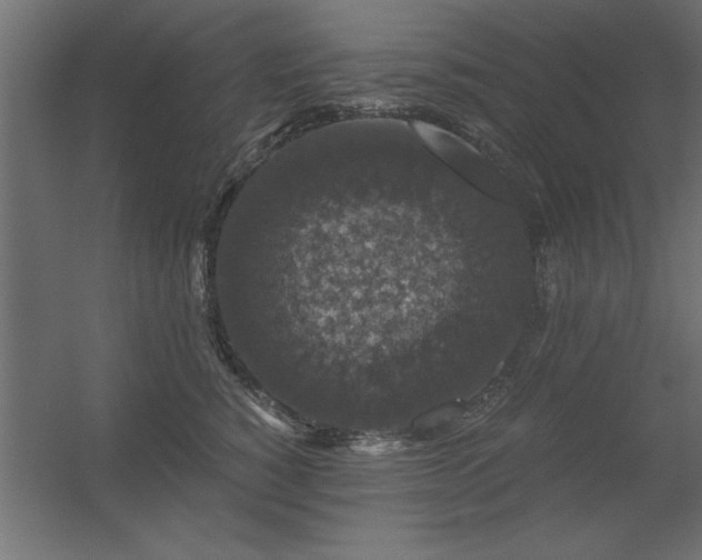 X0000056320760200509021603
