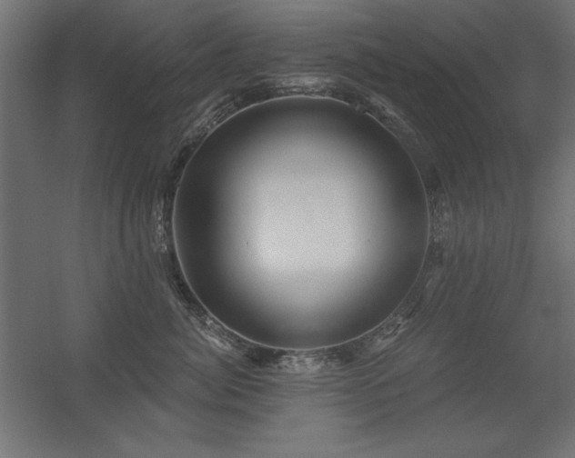 X0000056320764200509021603
