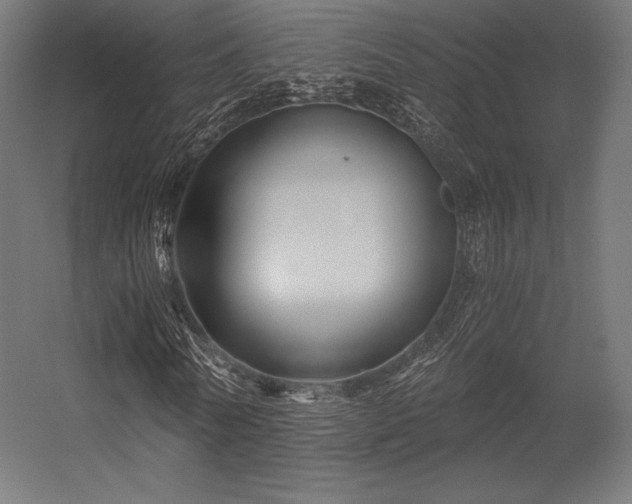 X0000056320770200509021602