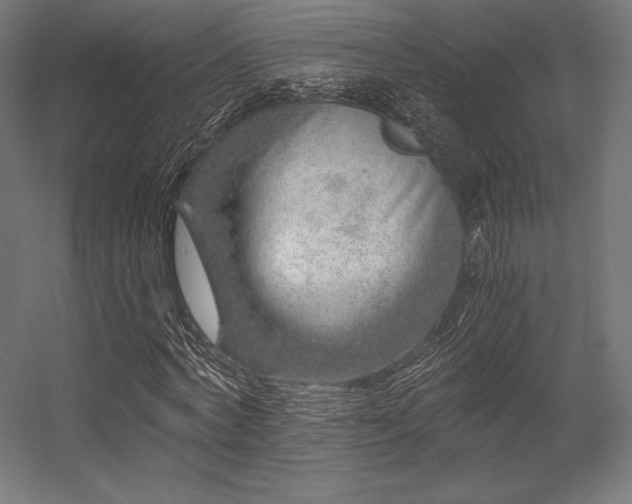 X0000056320772200509021602
