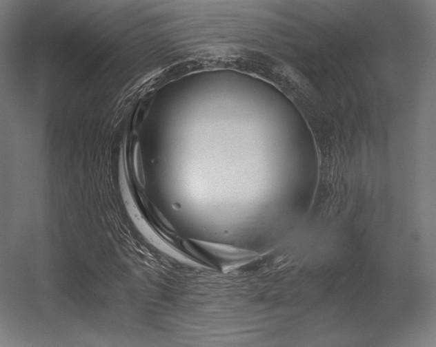 X0000056320773200509021602