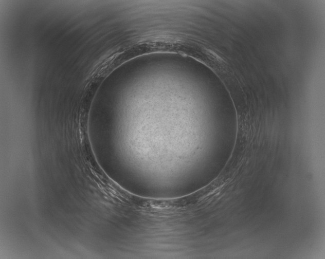 X0000056320774200509021602
