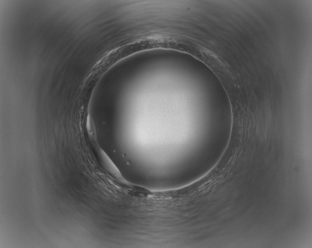 X0000056320776200509021602