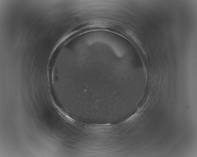 X0000056320779200509021602
