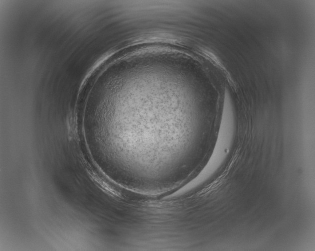 X0000056320780200509021602