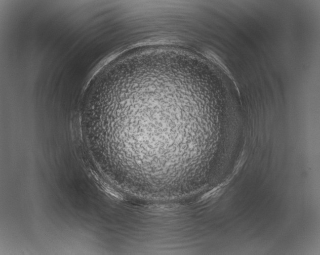 X0000056320781200509021602